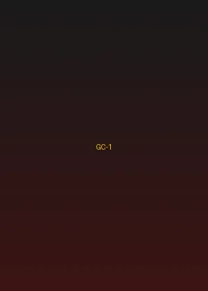 四虎tv - 暗夜追踪海报